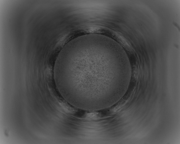 X0000093170461200709261531