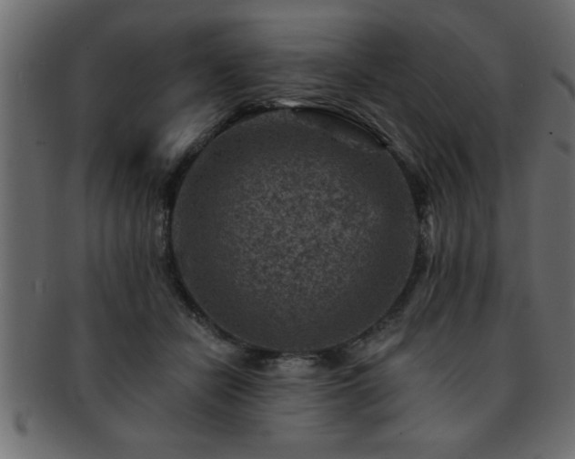 X0000093170462200709261531