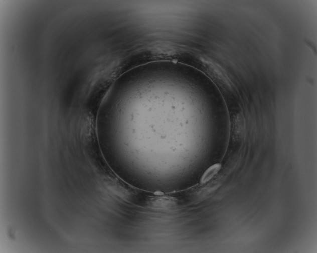 X0000093170463200709261531