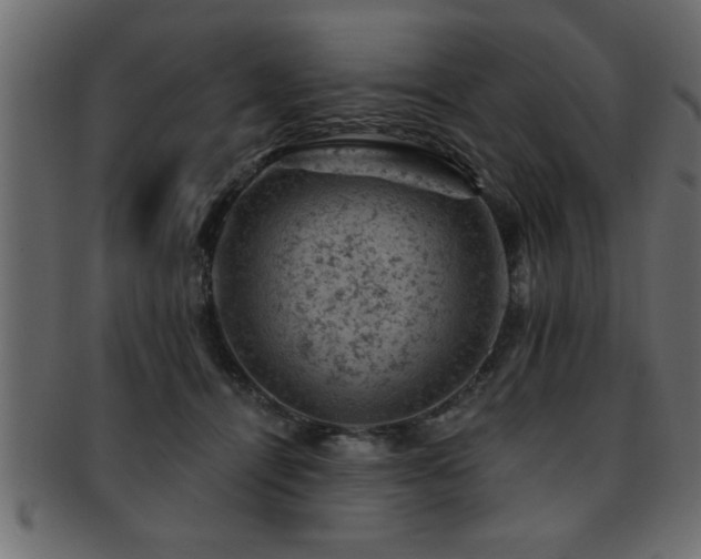 X0000093170464200709261532