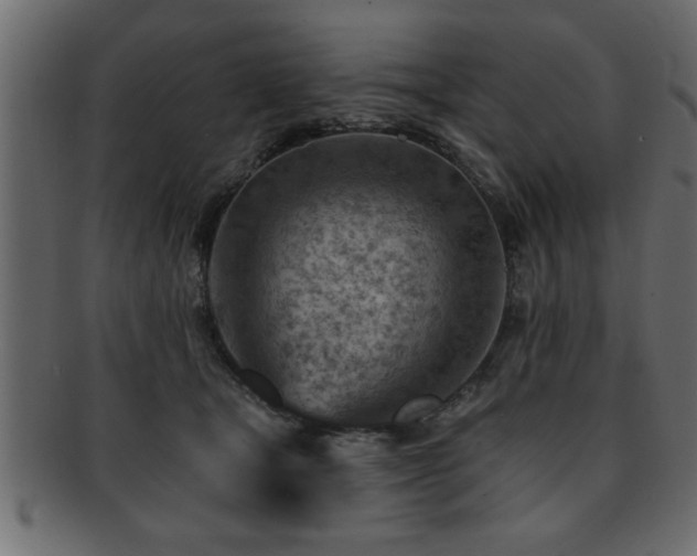 X0000093170465200709261532