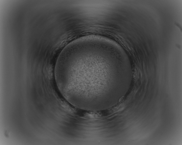 X0000093170466200709261532