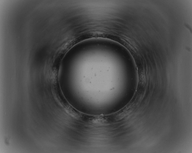 X0000093170468200709261532