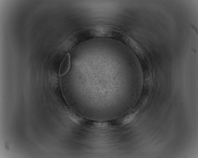 X0000093170469200709261532