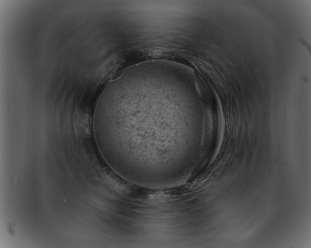X0000093170470200709261532