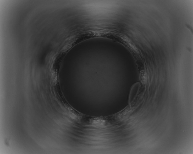 X0000093170471200709261532