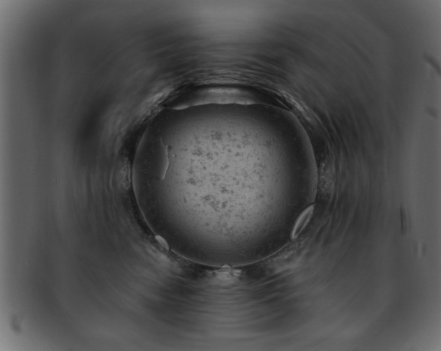 X0000093170474200709261532