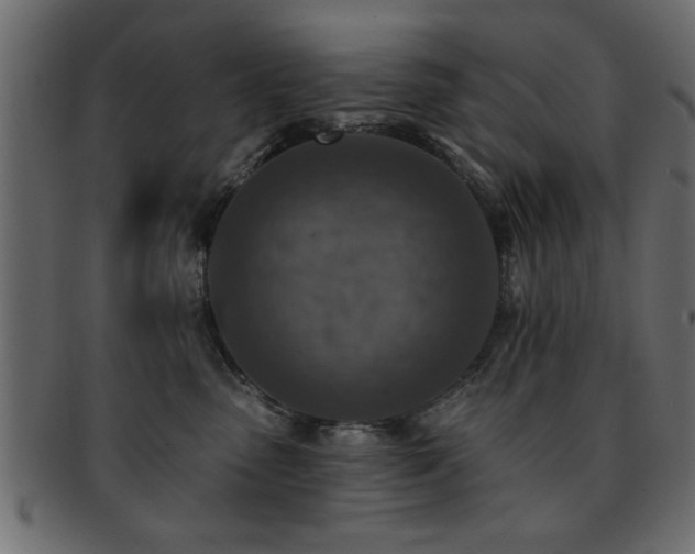 X0000093170475200709261532