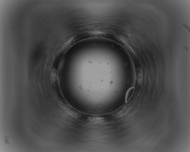 X0000093170476200709261532