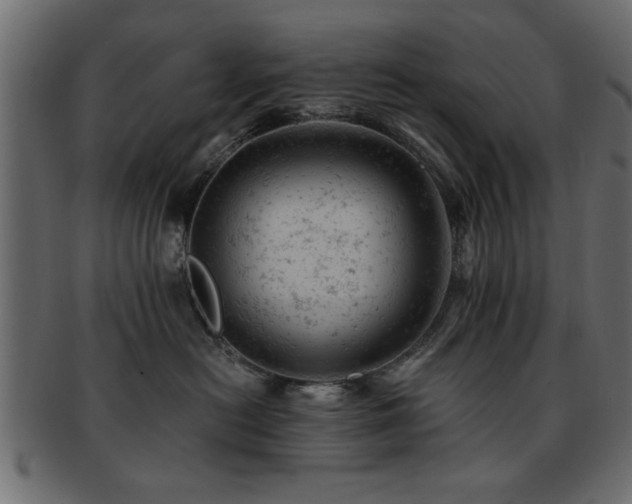 X0000093170478200709261532