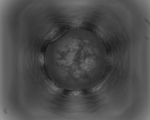 X0000093170479200709261532