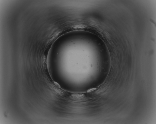X0000093170480200709261532