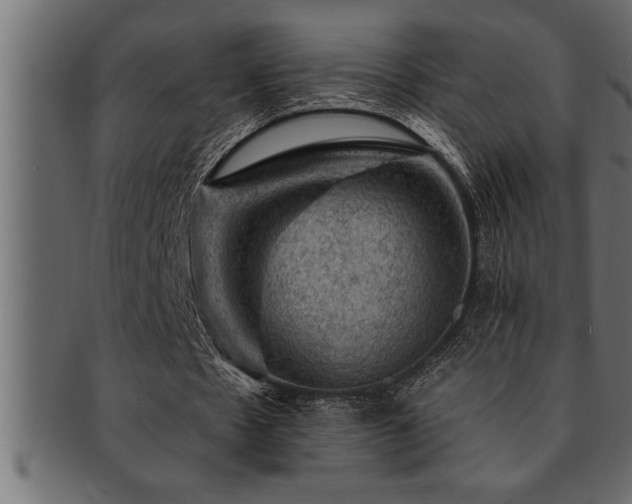 X0000093170481200709261531