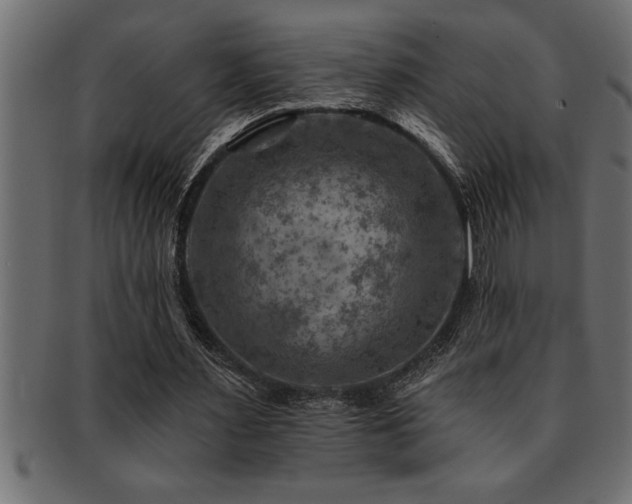 X0000093170483200709261531