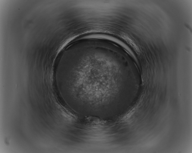 X0000093170484200709261531