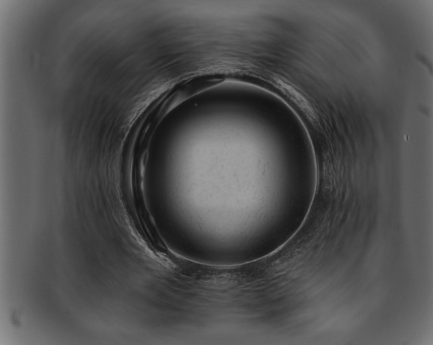 X0000093170485200709261531