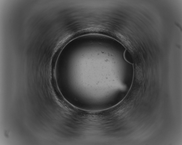 X0000093170486200709261531