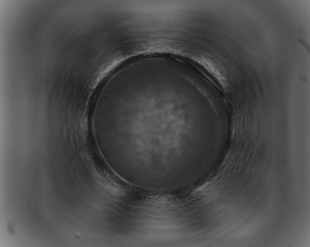 X0000093170488200709261531