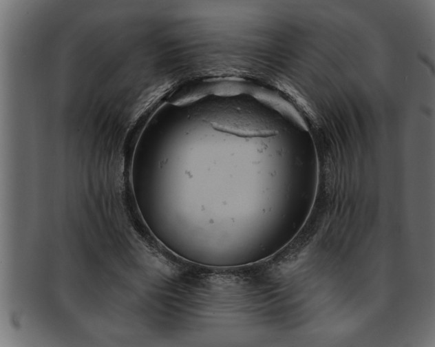X0000093170490200709261531