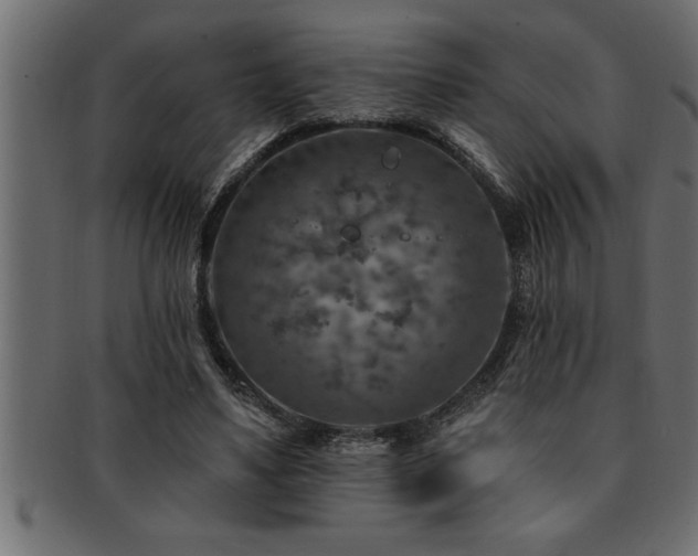 X0000093170491200709261531