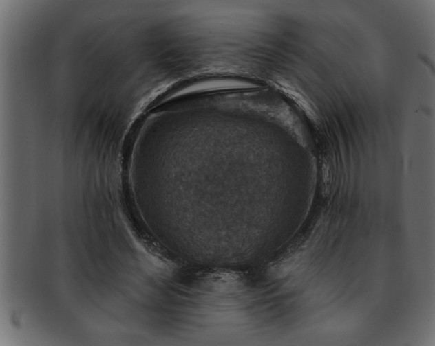 X0000093170492200709261531