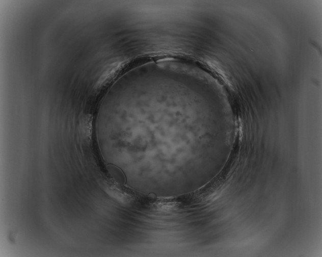 X0000093170495200709261531