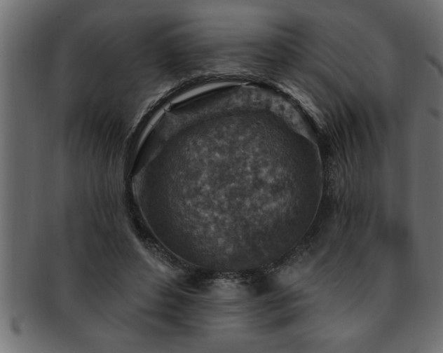 X0000093170496200709261531