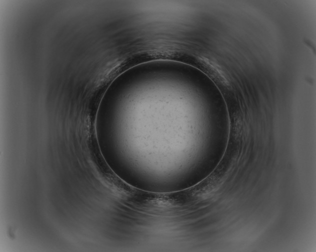 X0000093170498200709261531