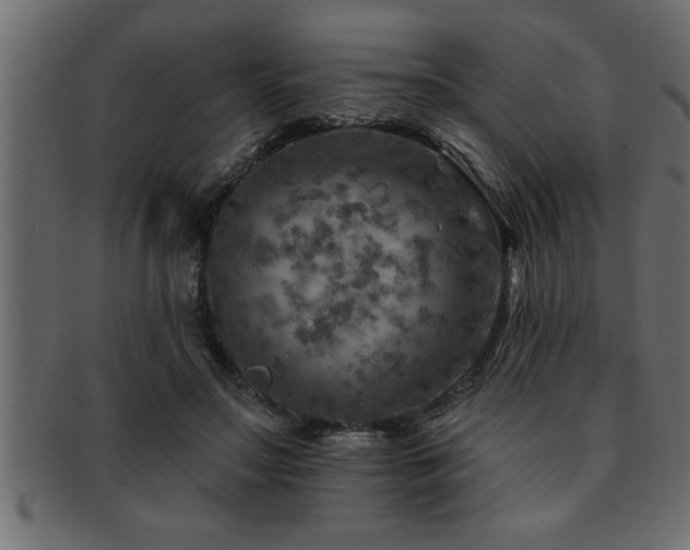 X0000093170499200709261531