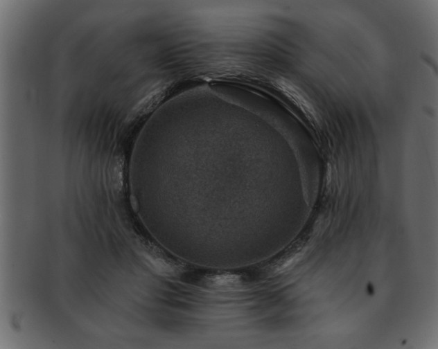 X0000093170501200709261531