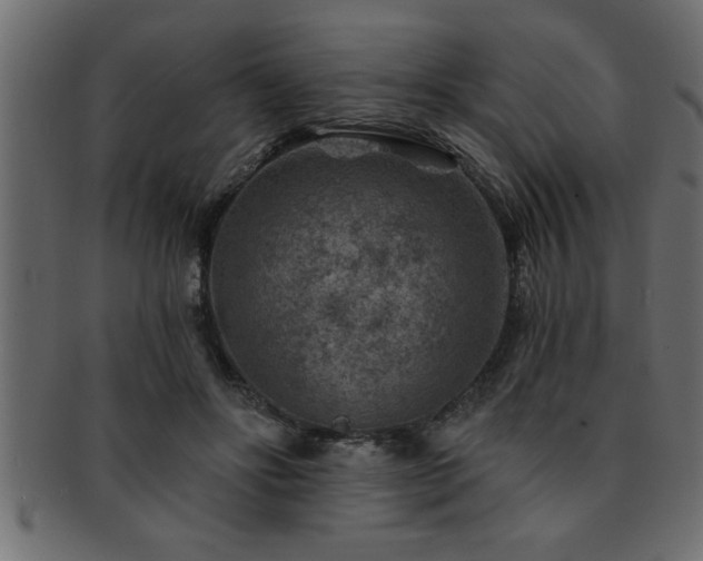 X0000093170502200709261531