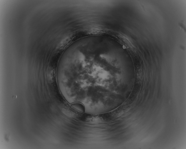 X0000093170503200709261531