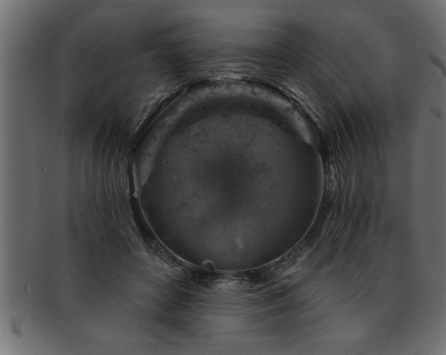X0000093170504200709261531