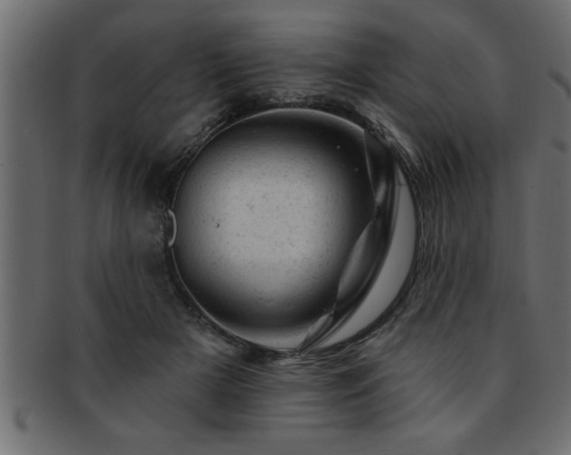 X0000093170505200709261531