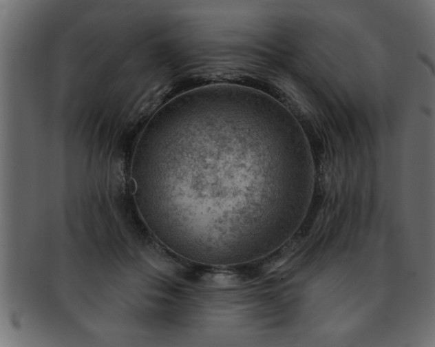 X0000093170506200709261531