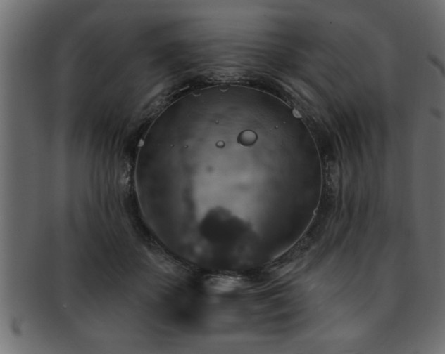 X0000093170507200709261531