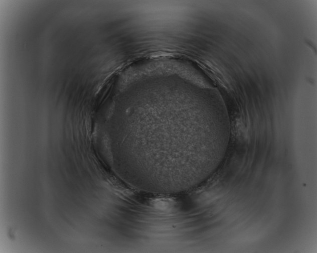 X0000093170508200709261531
