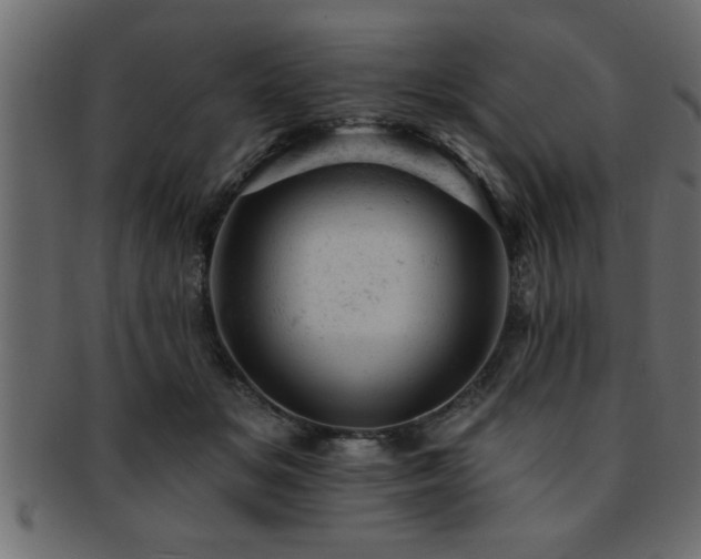 X0000093170509200709261531