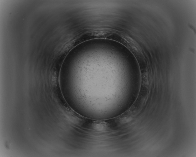 X0000093170510200709261531