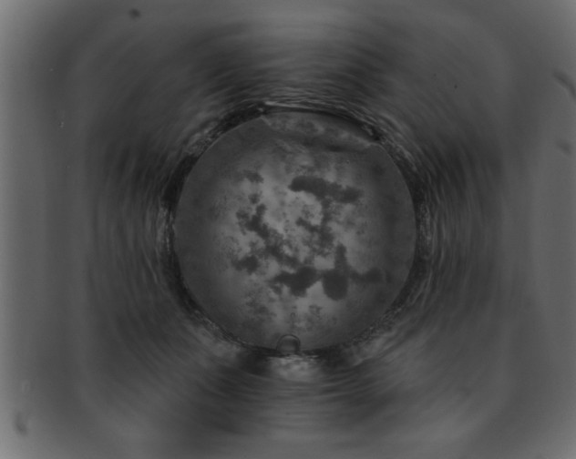 X0000093170511200709261531