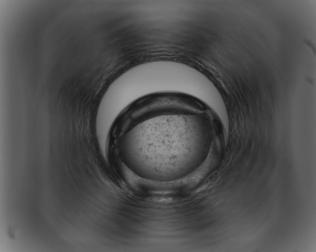 X0000093170512200709261531