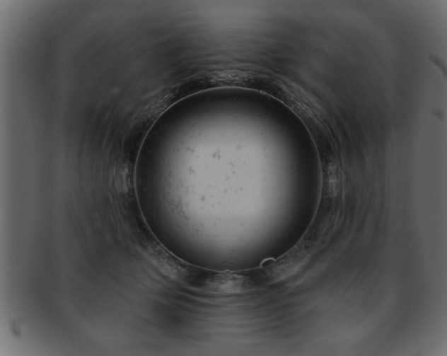 X0000093170514200709261531