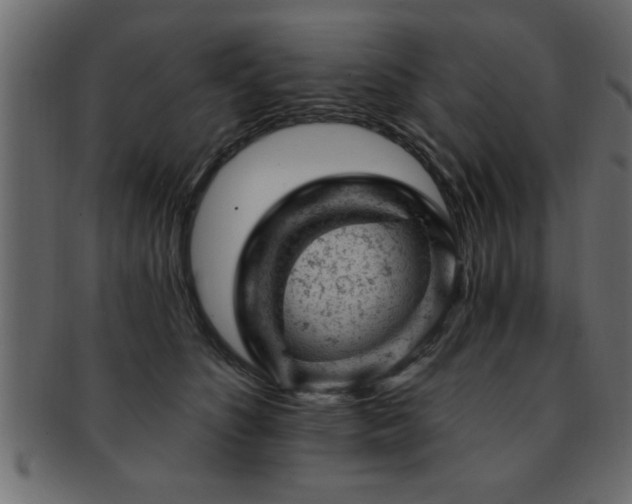 X0000093170516200709261531