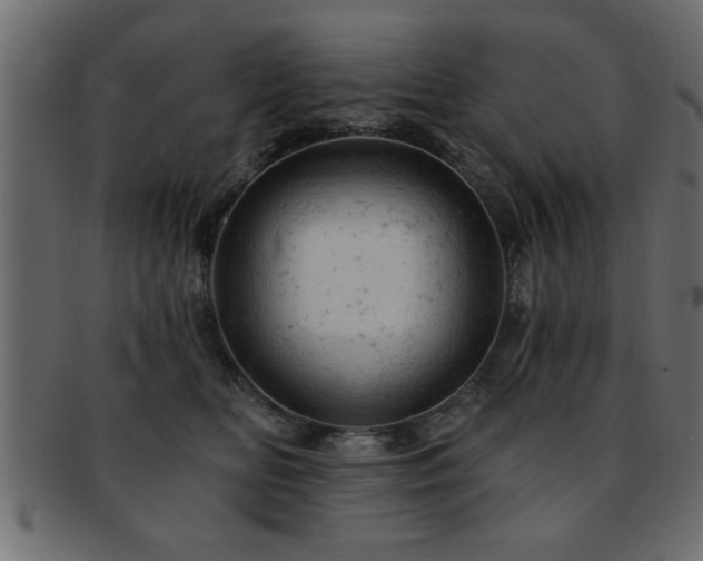 X0000093170518200709261531