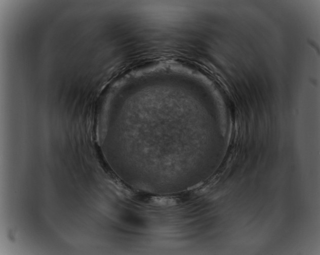X0000093170520200709261531