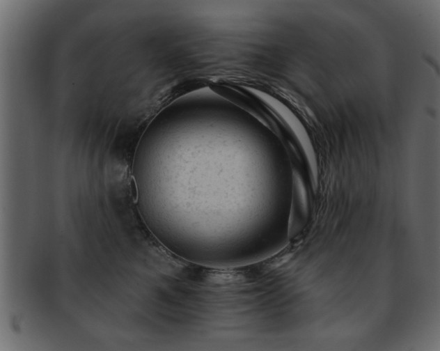 X0000093170521200709261531