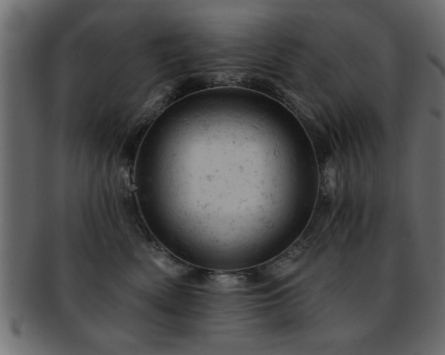X0000093170522200709261531