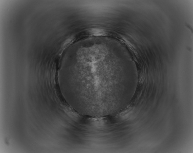 X0000093170524200709261531