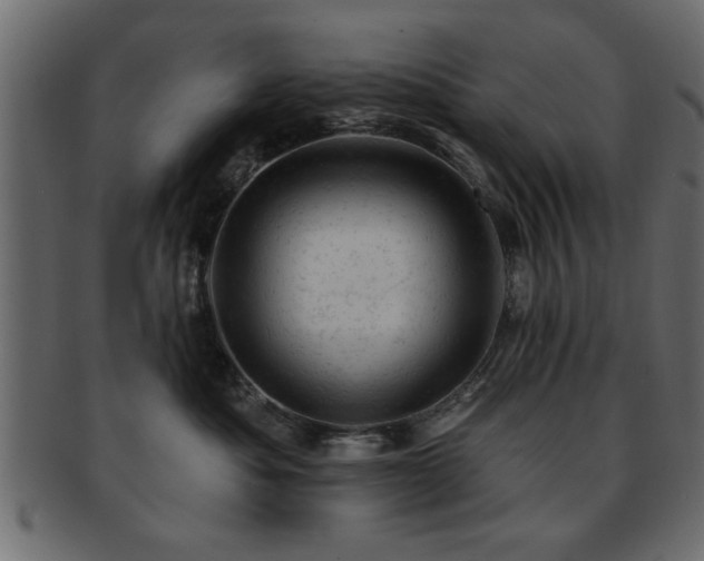 X0000093170525200709261531
