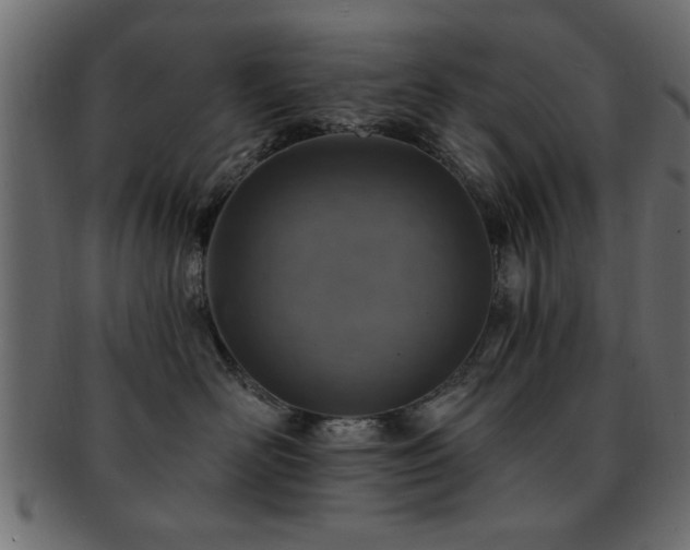 X0000093170526200709261531